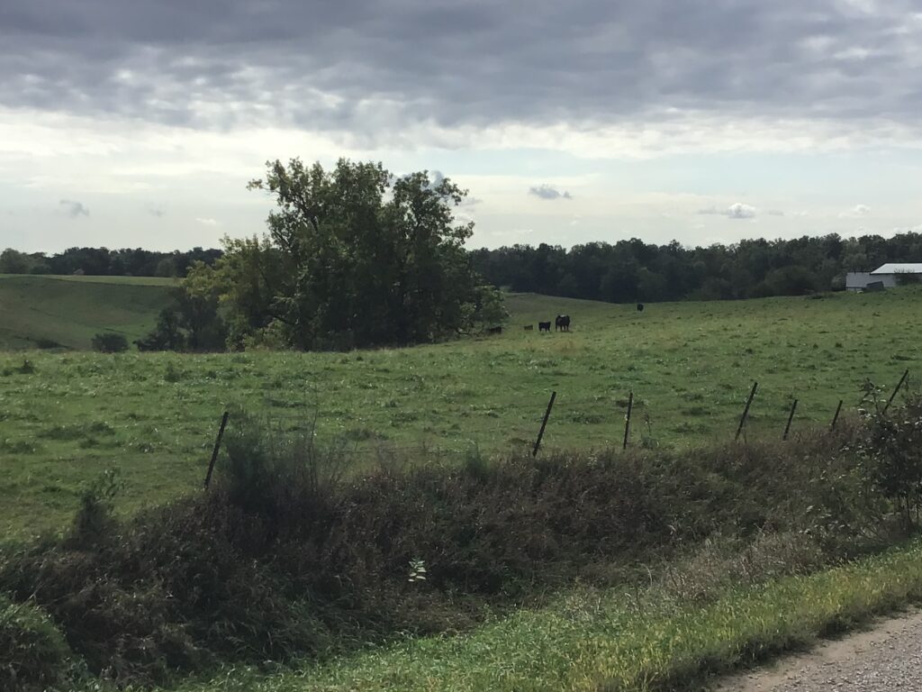 Open farmland field at Growthland property