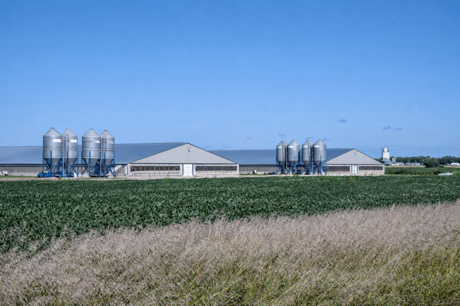 Adams County, IA - 2 Wean-to-Finish Swine Sites