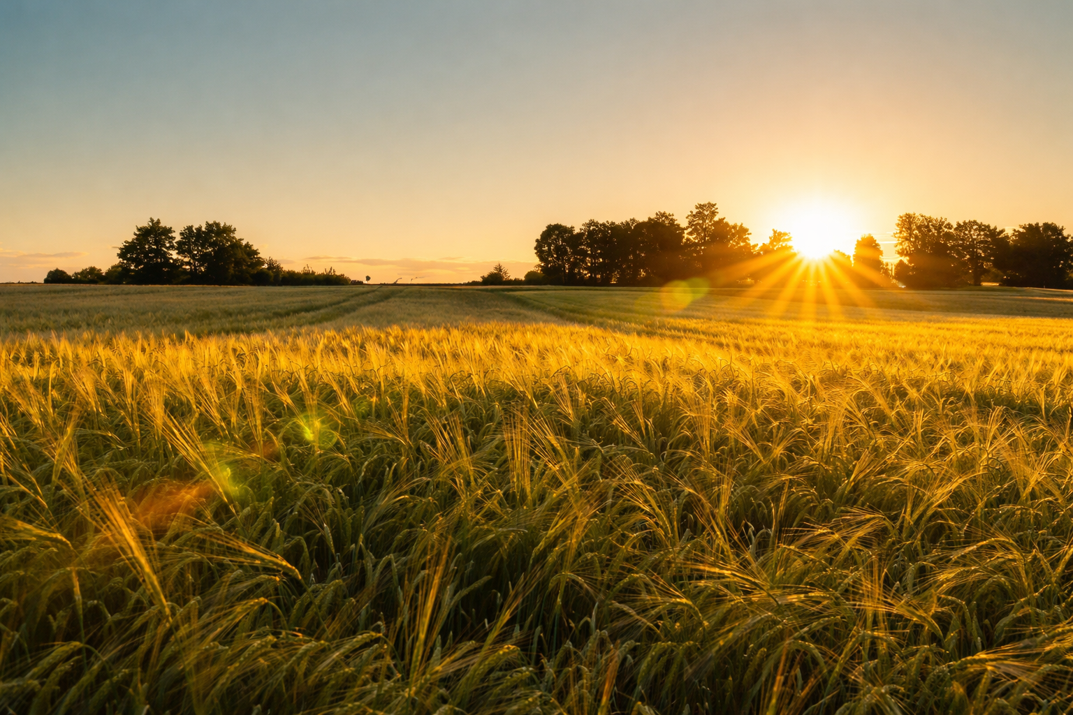 Eastern Iowa - 400-Acre Farm