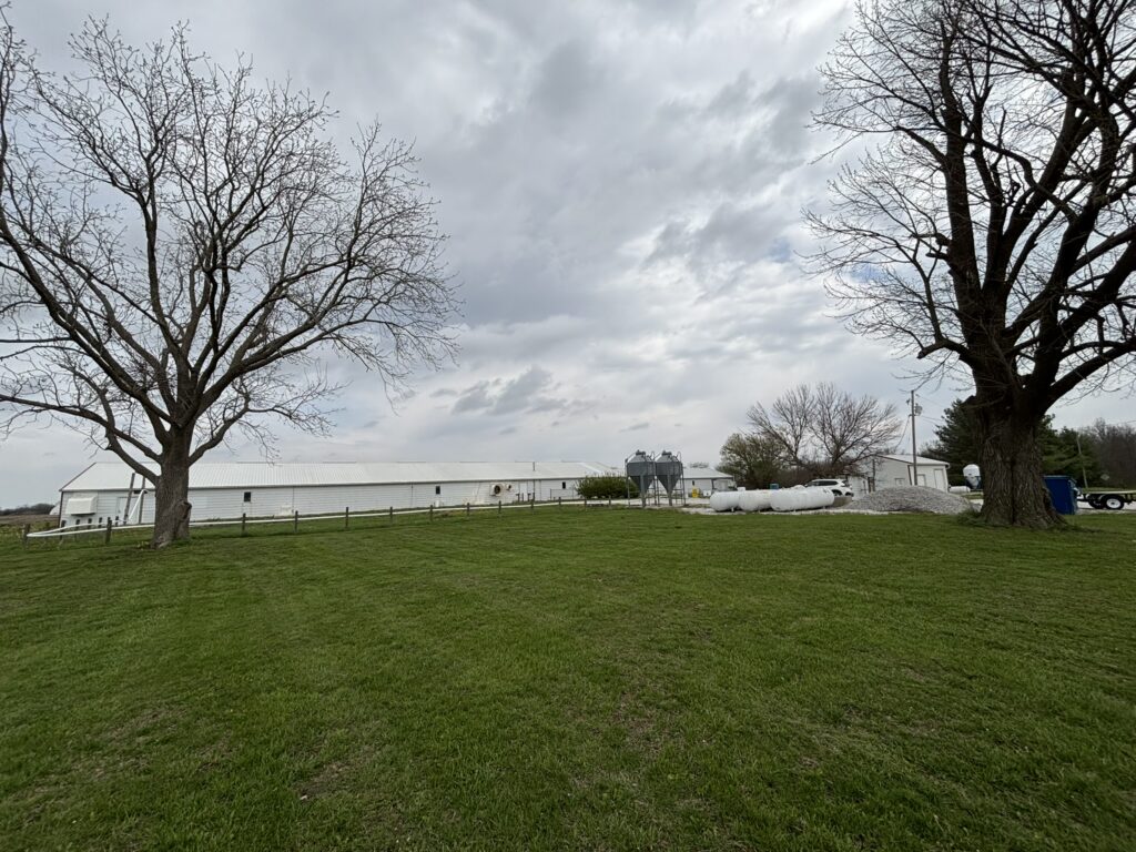 Interior of boar stud facility in Adams County, Illinois