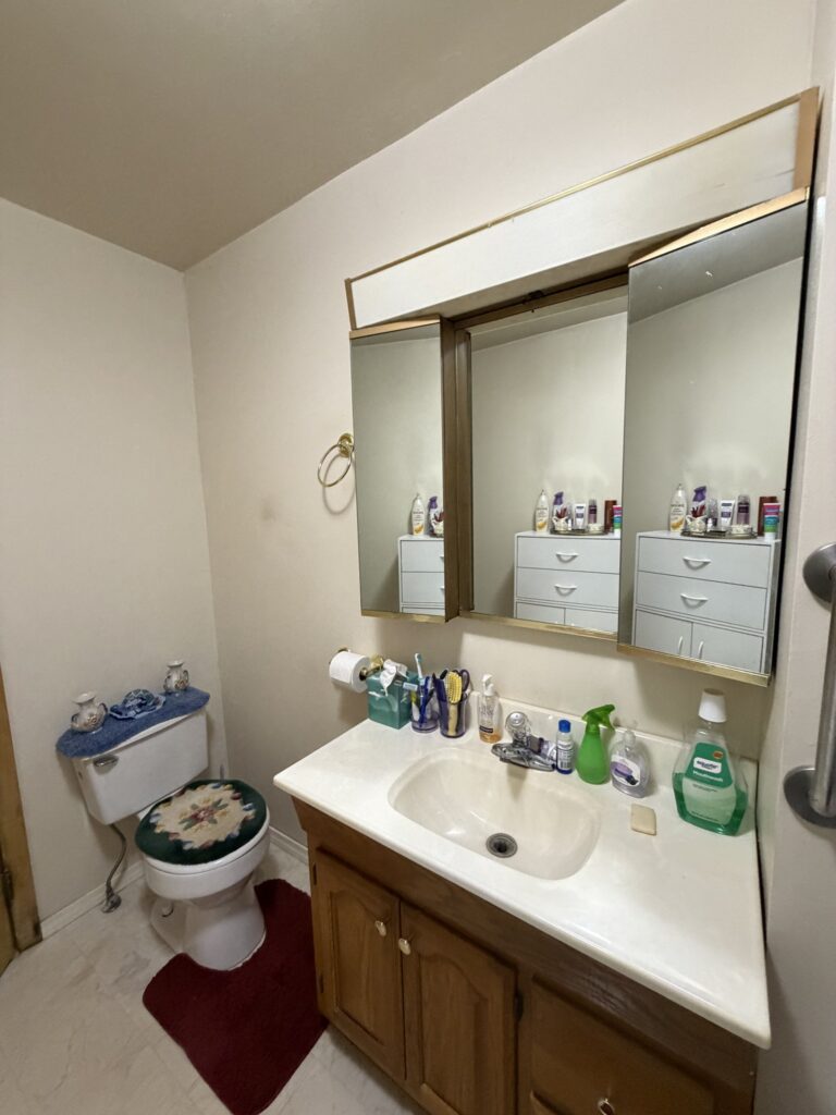 Bathroom vanity, McDonald Farm, 272 acres, Wapello County, Iowa
