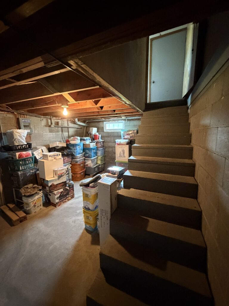 Basement stairs, McDonald Farm, 272 acres, Wapello County, Iowa