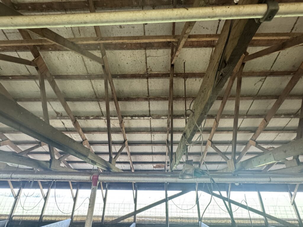 Audubon Tract 2 Ceiling