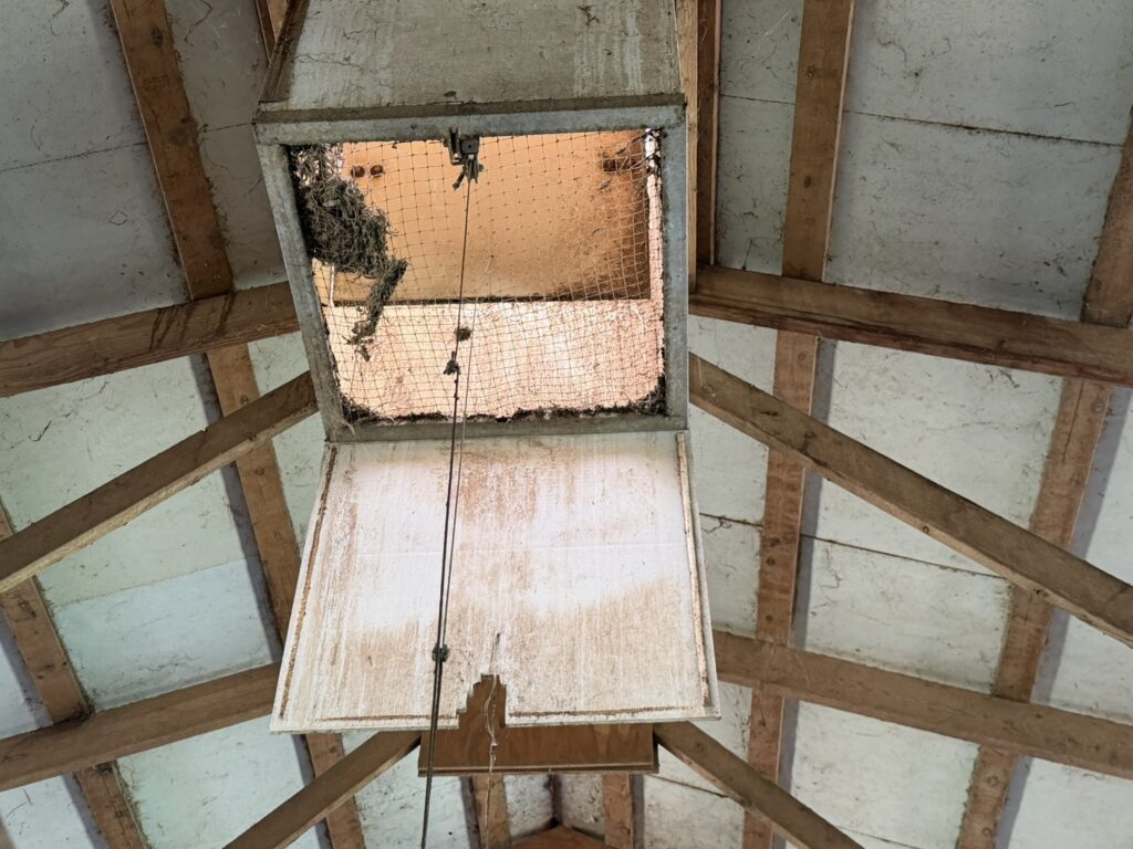 Audubon Tract 2 Ceiling and Chimney