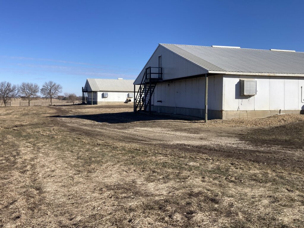 Ceylon MN 3,200 Head Sow Farm, exterior buildings