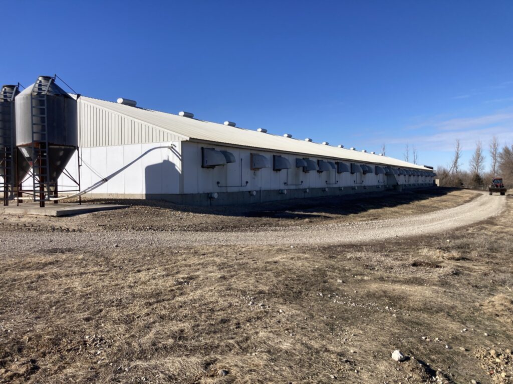 Ceylon MN 3,200 Head Sow Farm, exterior barn and feed bins