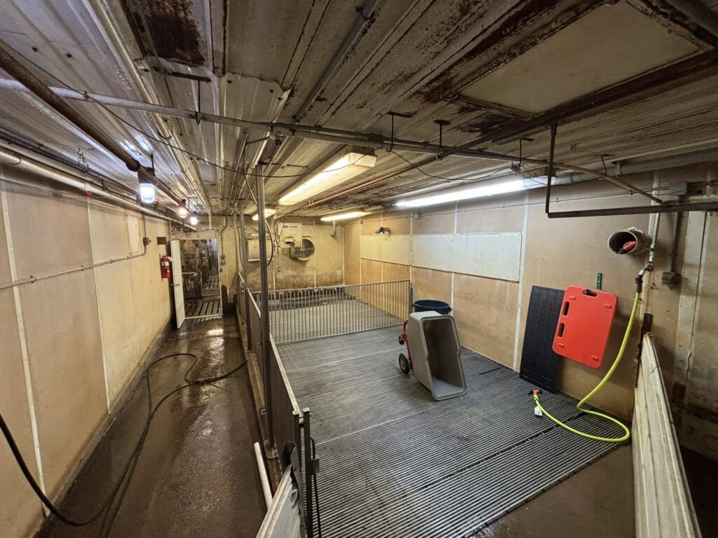 Ceylon MN 3,200 Head Sow Farm, filtered holding room