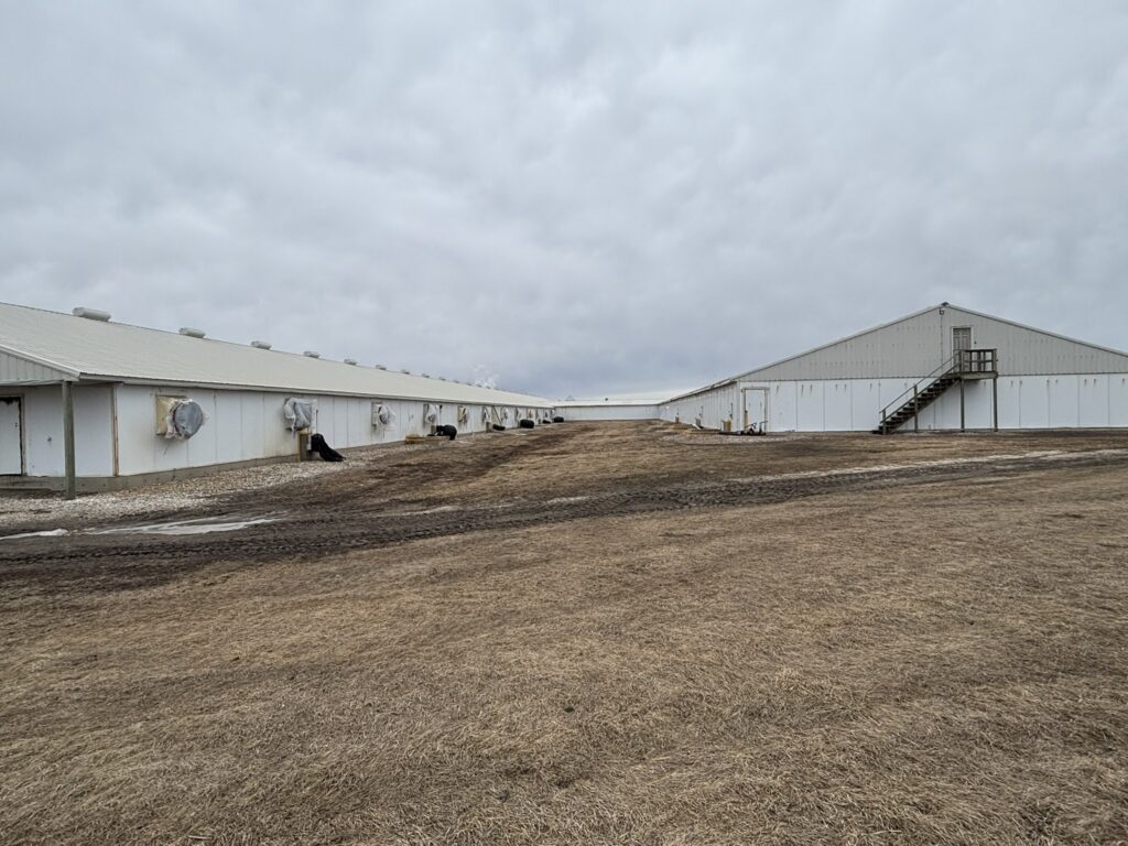 Welcome MN 3,200 Head Sow Farm, exterior barns
