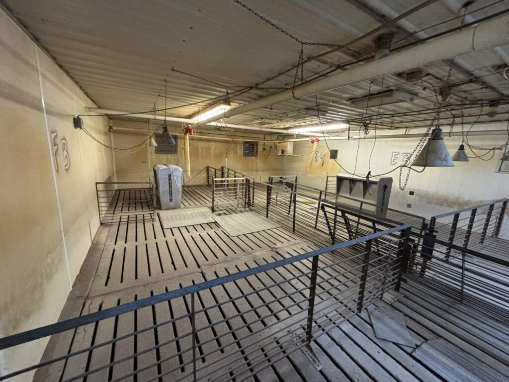Welcome MN 3,200 Head Sow Farm, farrowing room