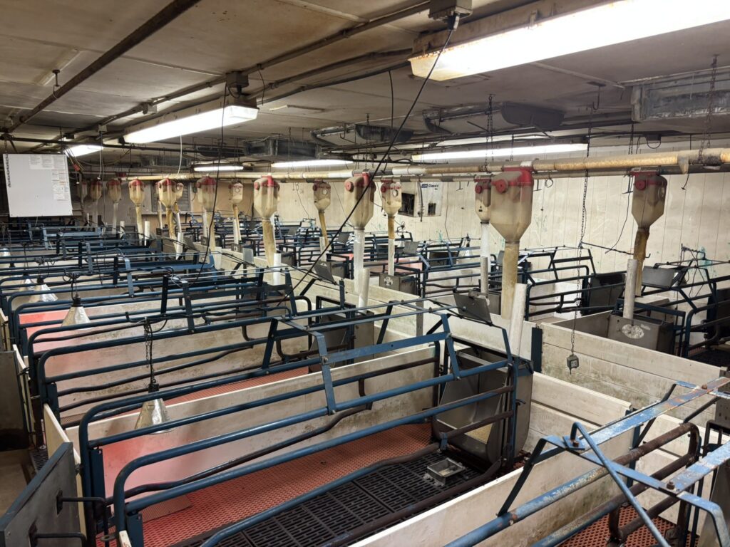 Welcome MN 3,200 Head Sow Farm, farrowing crates