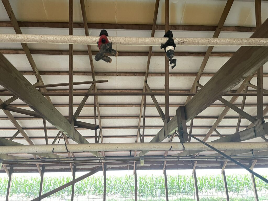Guthrie County Site Ceiling