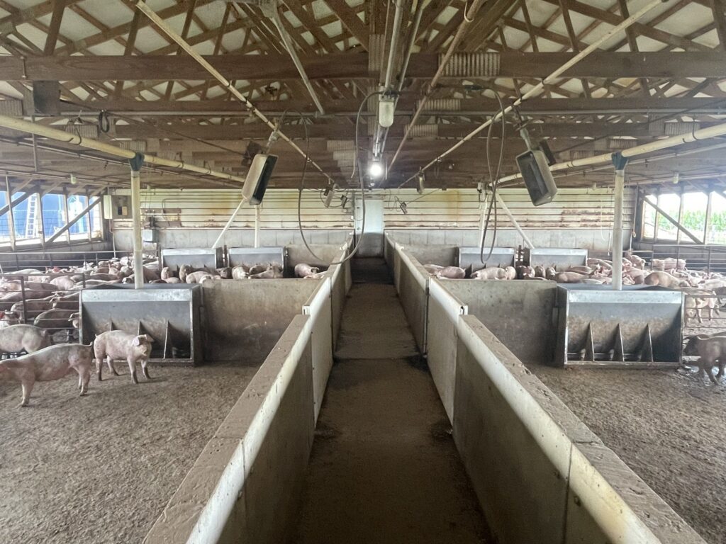 Guthrie County Site Barn 4 Interior View 2