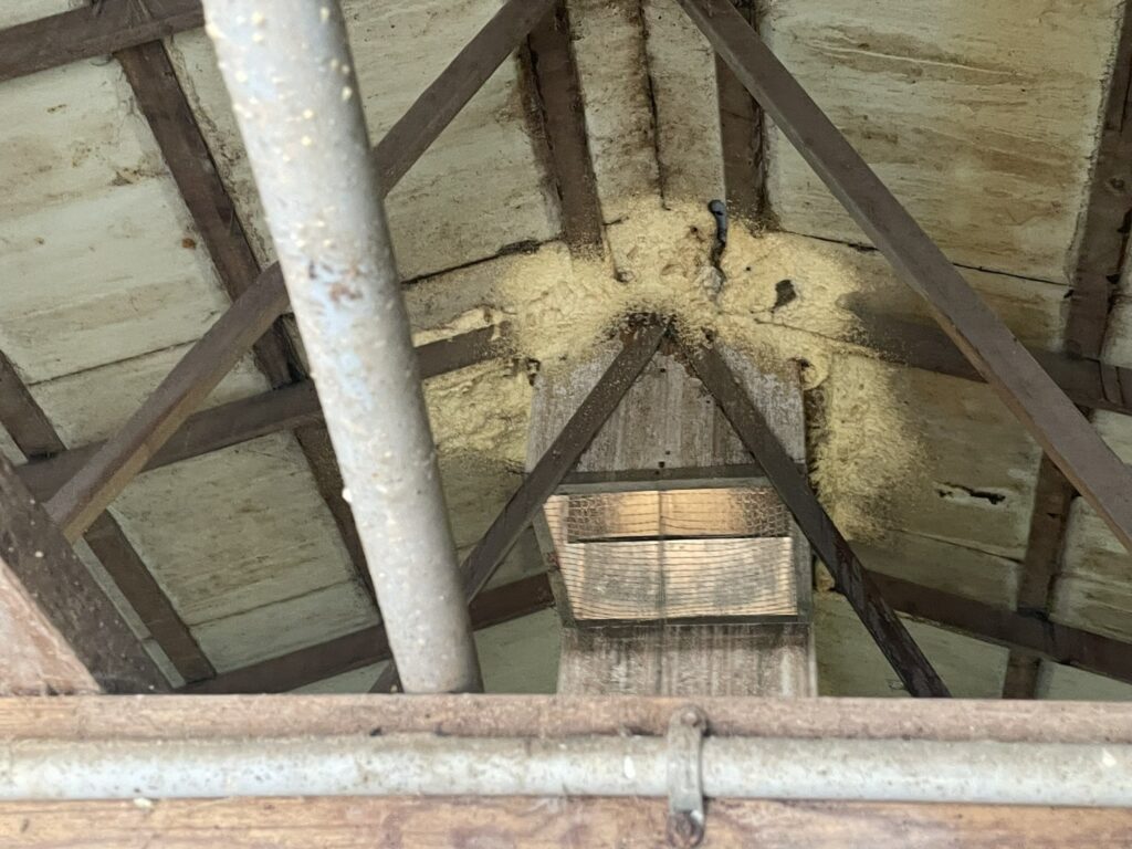 Guthrie County Site Ceiling and Chimney 2
