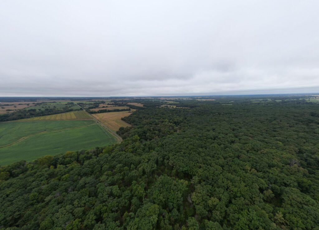 Macon County, Missouri farm: aerial timber and cropland west