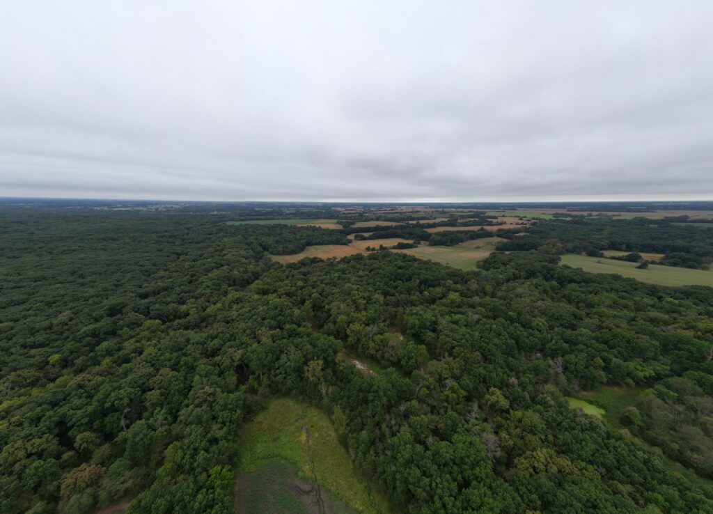 Macon County, Missouri farm: aerial timber stands