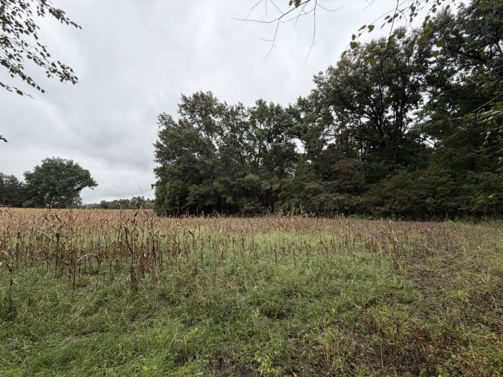 Macon County, Missouri farm: field edge and timber