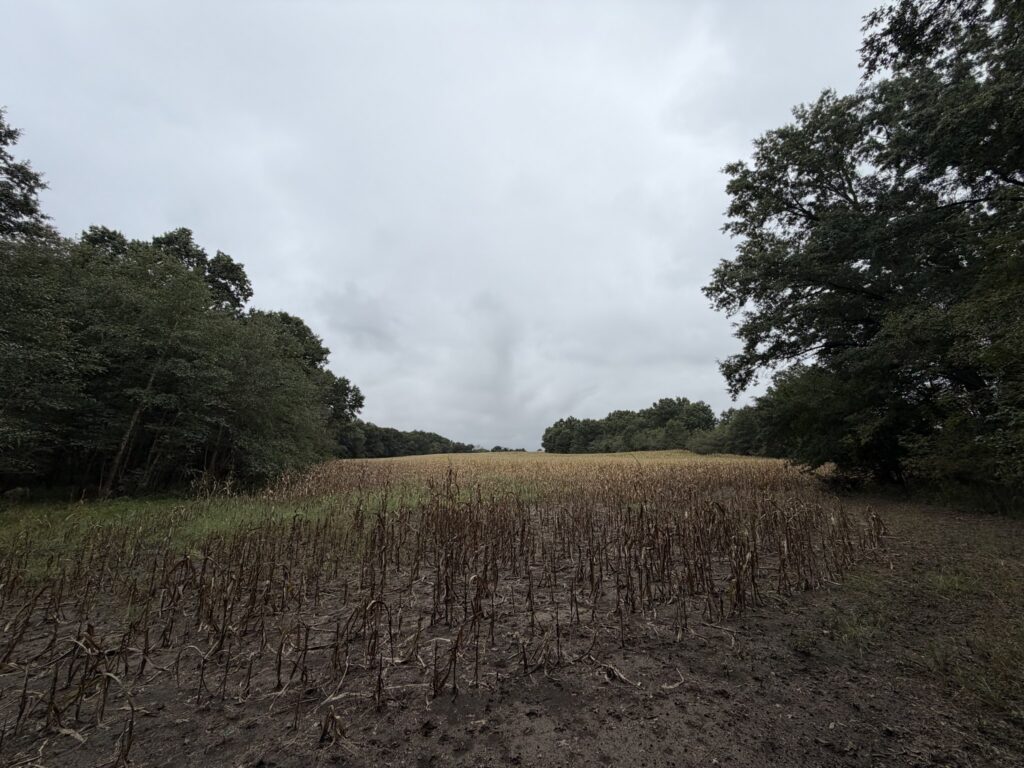 Macon County, Missouri farm: cropland between timber