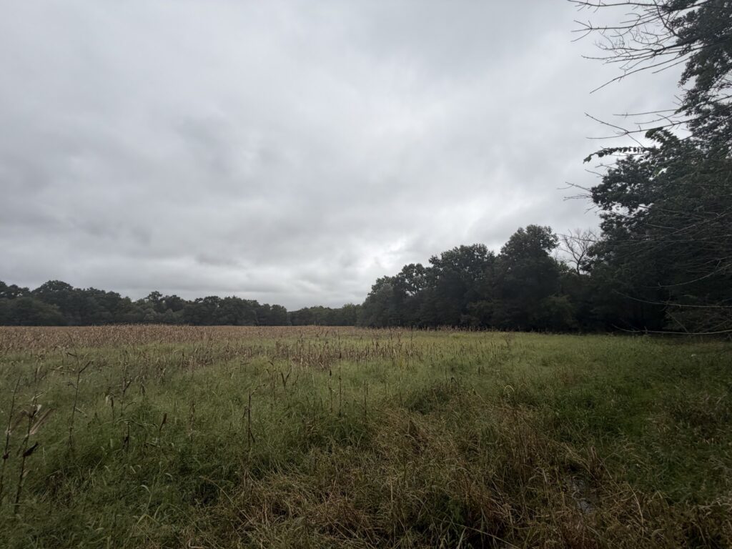 Macon County, Missouri farm: open ground 1