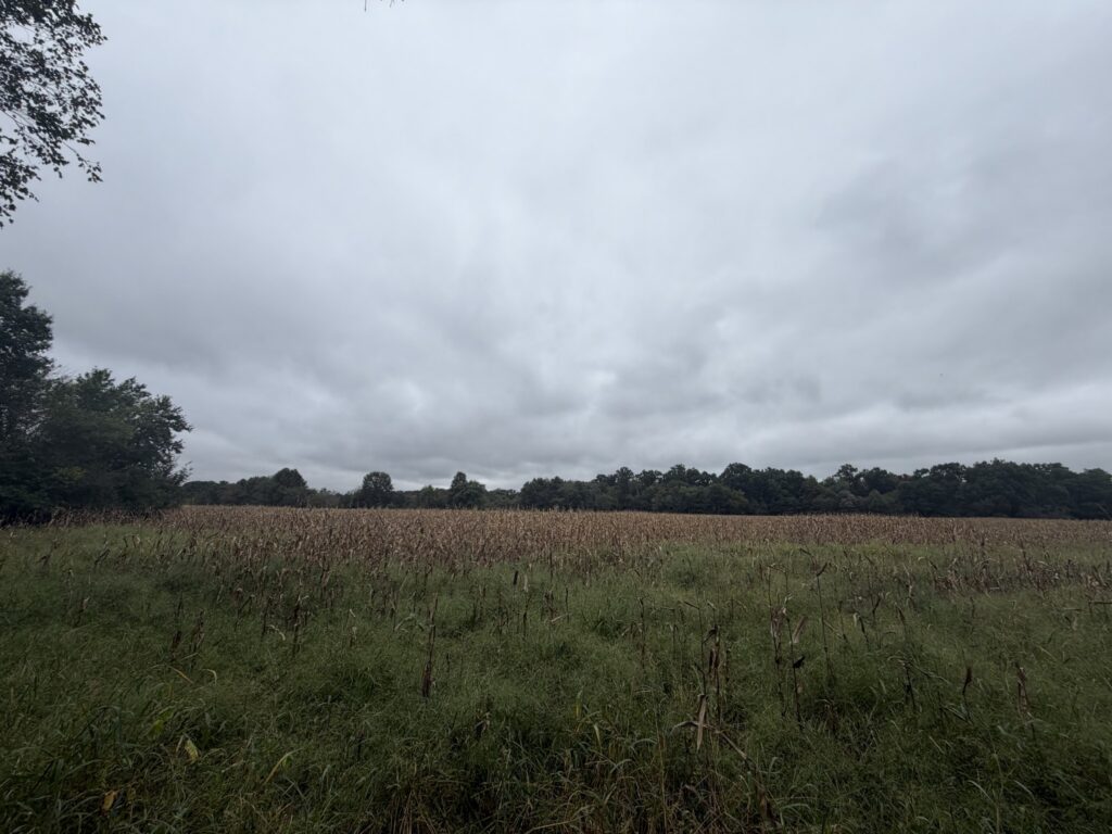 Macon County, Missouri farm: open ground 2