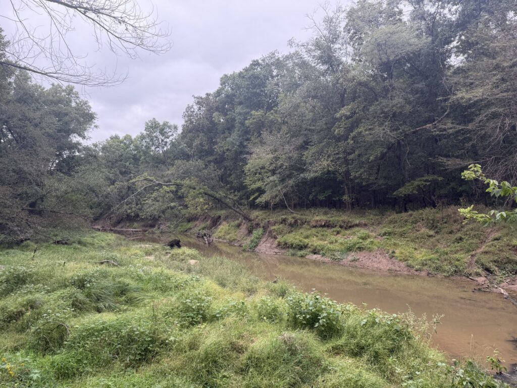 Macon County, Missouri farm: bear creek