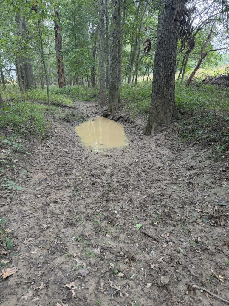 Macon County, Missouri farm: draw with water