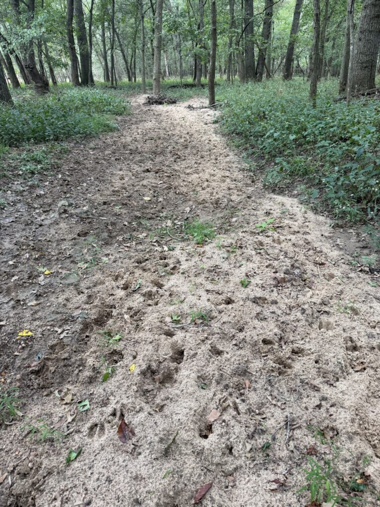 Macon County, Missouri farm: heavily used game trail