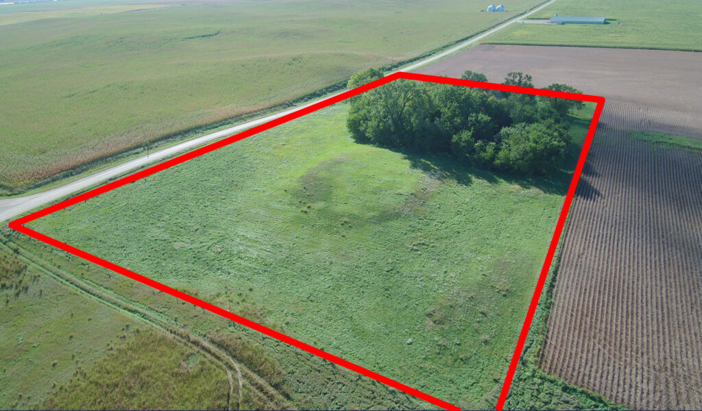 View from the north border looking south, property border outlined