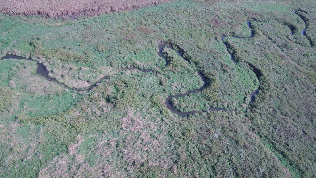 View of Buffalo Creek meandering through northern acres