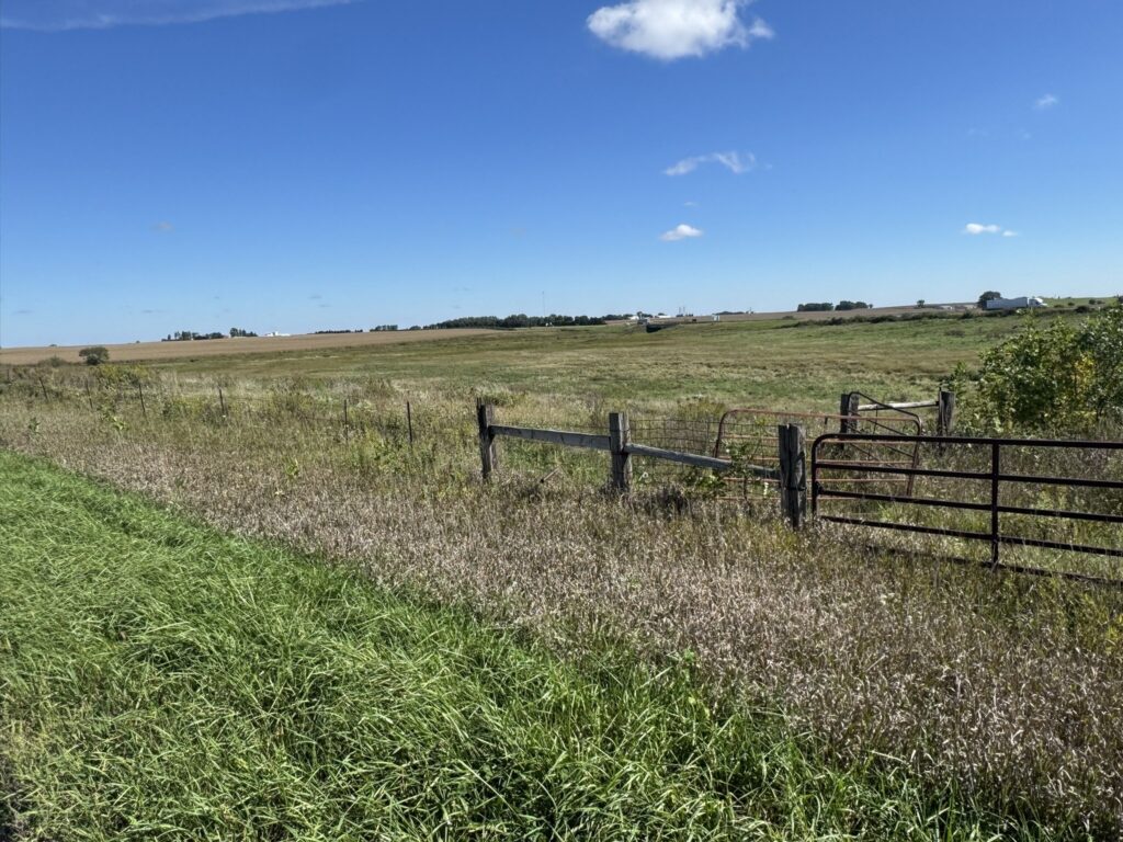 View of perimeter fences