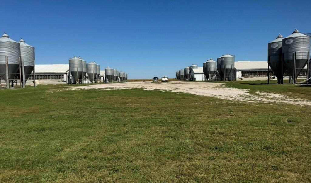 Hamilton County, IA feeder to finish site: South Ground View