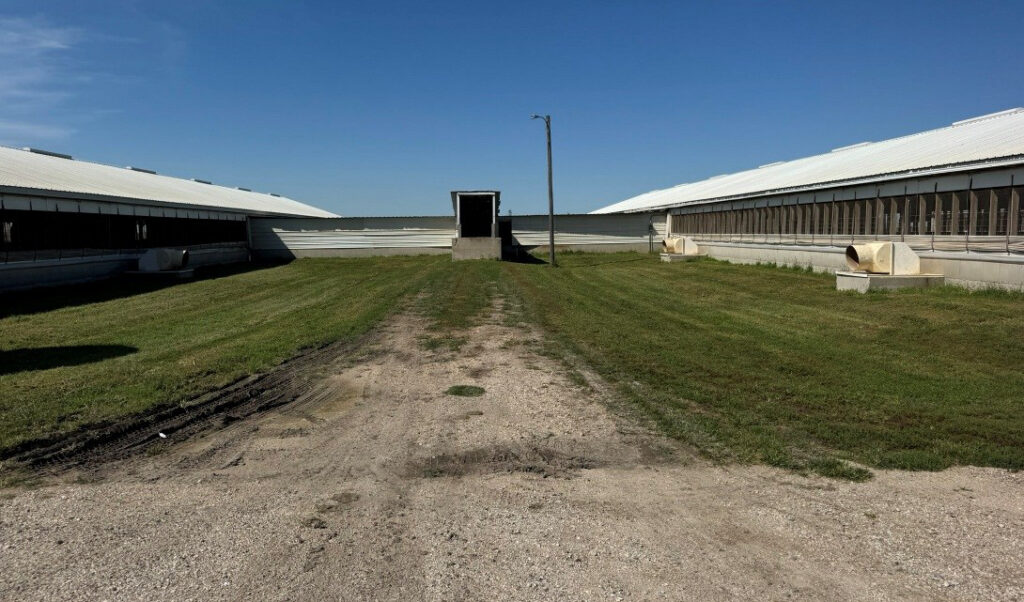 Hamilton County, IA feeder to finish site: Loadout
