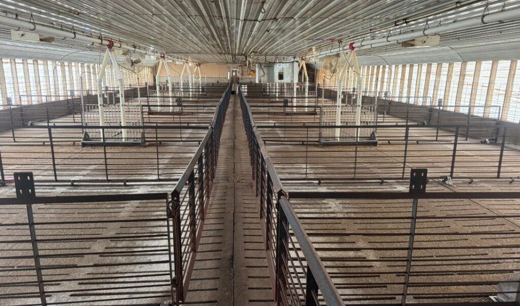 Hamilton County, IA feeder to finish site: Room View 1