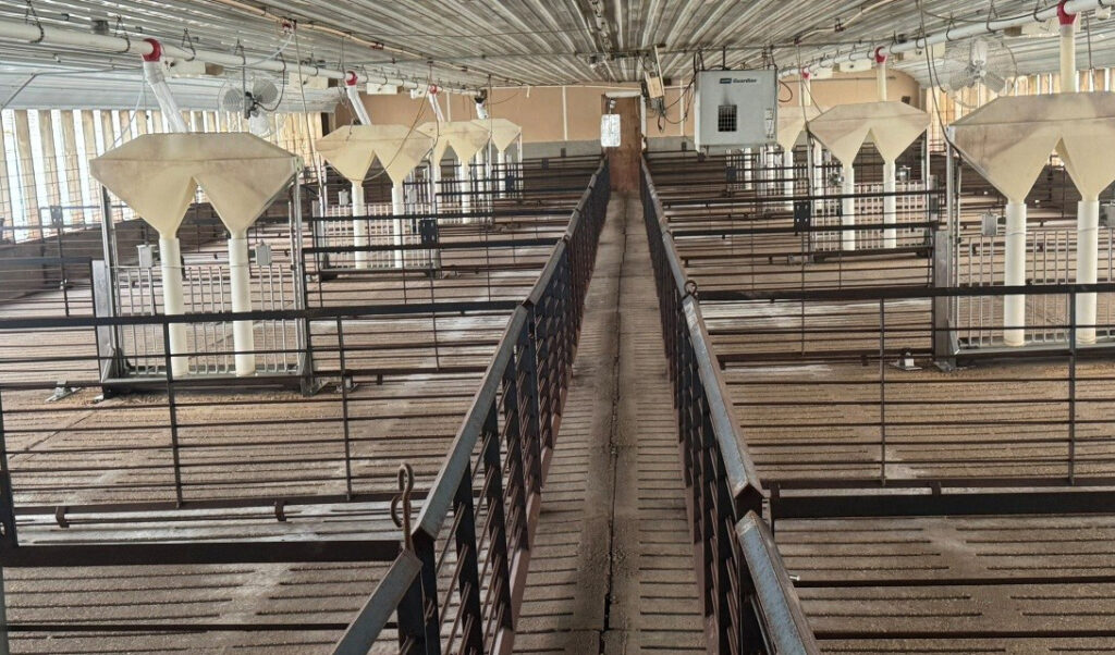 Hamilton County, IA feeder to finish site: Room View 3