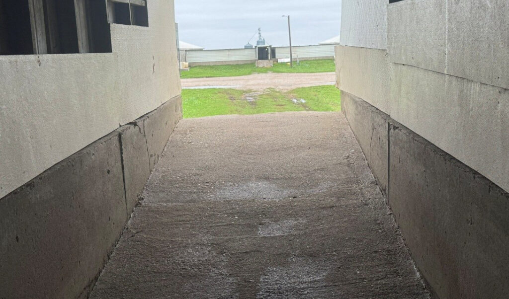 Hamilton County, IA feeder to finish site: Loadout 2