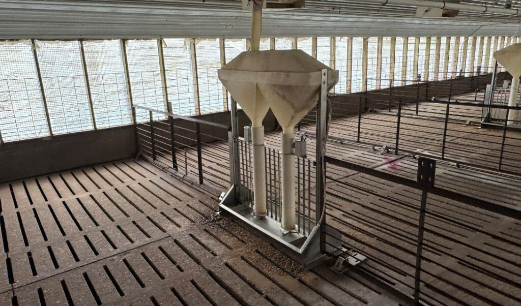 Hamilton County, IA feeder to finish site: Feeder